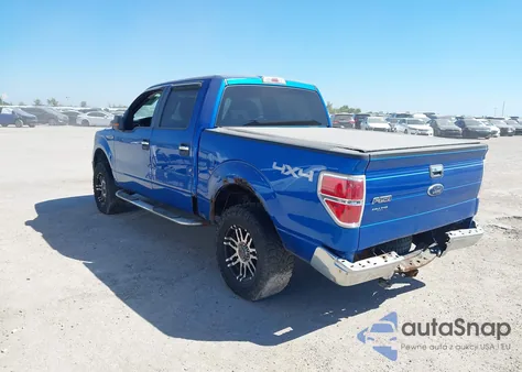 2009 Ford F-150 Fx4/King Ranch/Lariat/Platinum/Xl/Xlt z USA, uszkodzony, nr VIN 1FTPW14V49FB13310